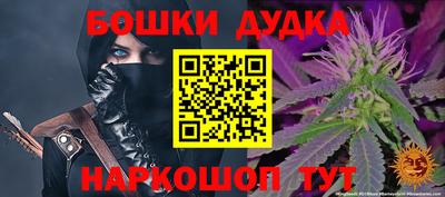 прущие грибы Усть-Илимск